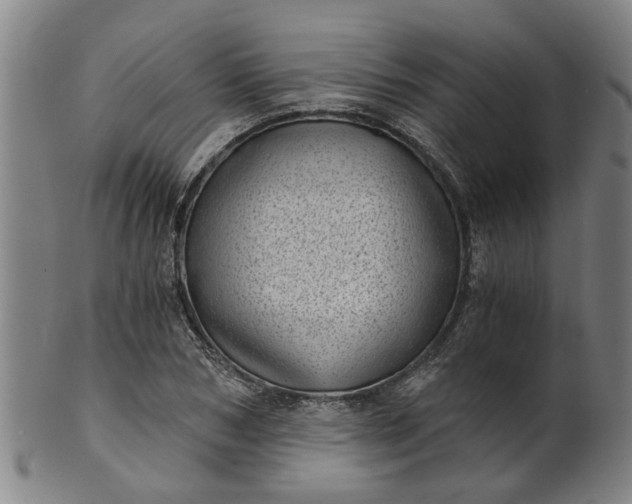 X0000101650978200807241351