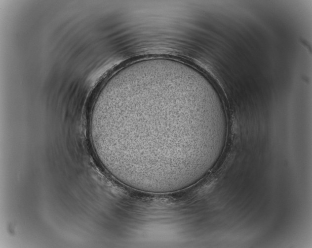 X0000101650979200807241351