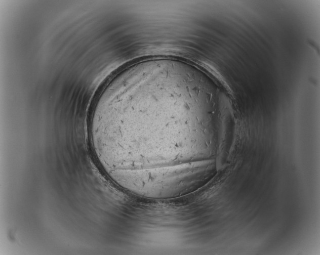 X0000101650980200807241351