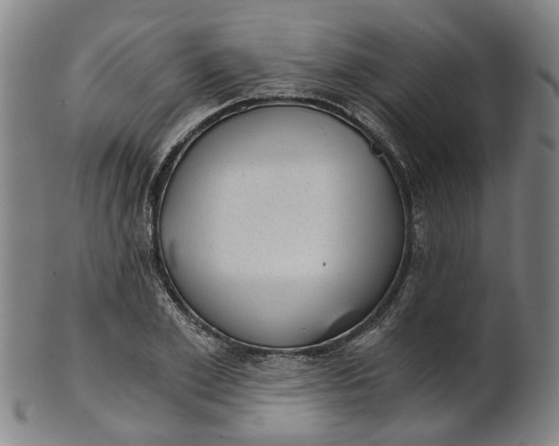 X0000101650981200807241351