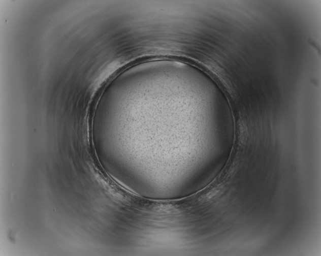 X0000101650982200807241351