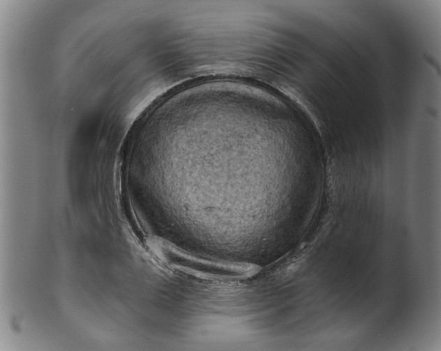 X0000101650983200807241351