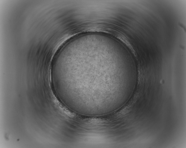 X0000101650984200807241351