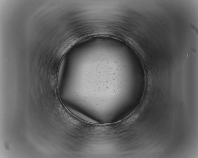 X0000101650985200807241351