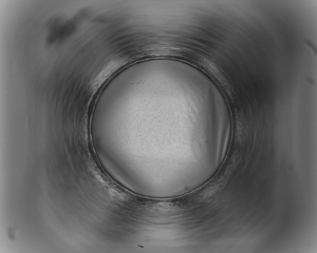 X0000101650986200807241351