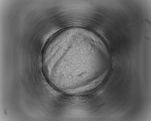 X0000101650987200807241351