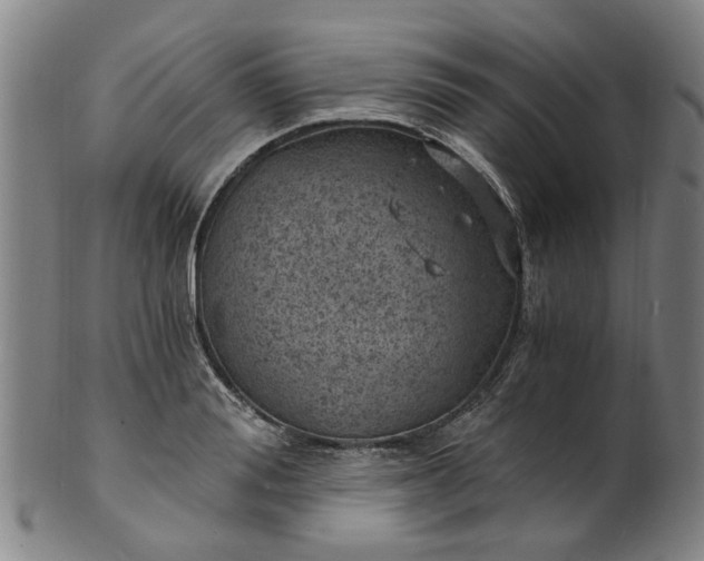 X0000101650988200807241351