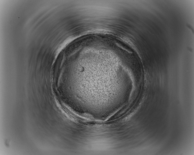 X0000101650989200807241351