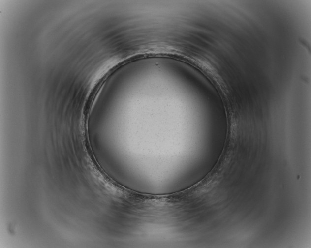 X0000101650990200807241351