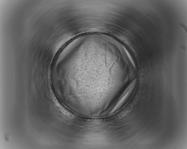 X0000101650991200807241351