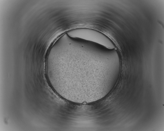 X0000101650992200807241351