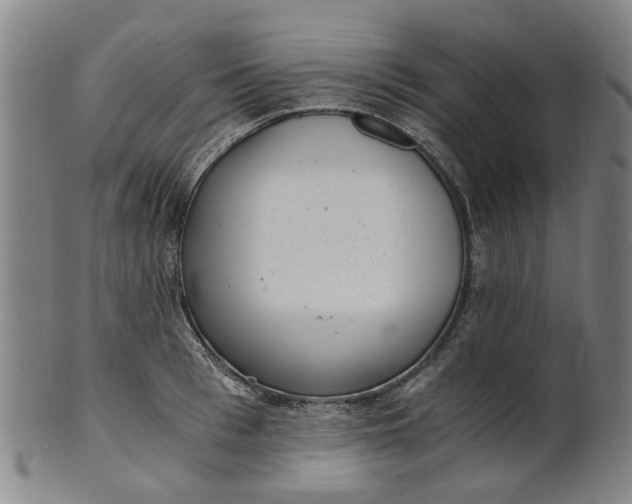 X0000101650993200807241351