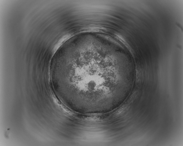 X0000101650994200807241351