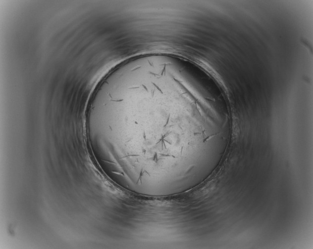 X0000101650996200807241351