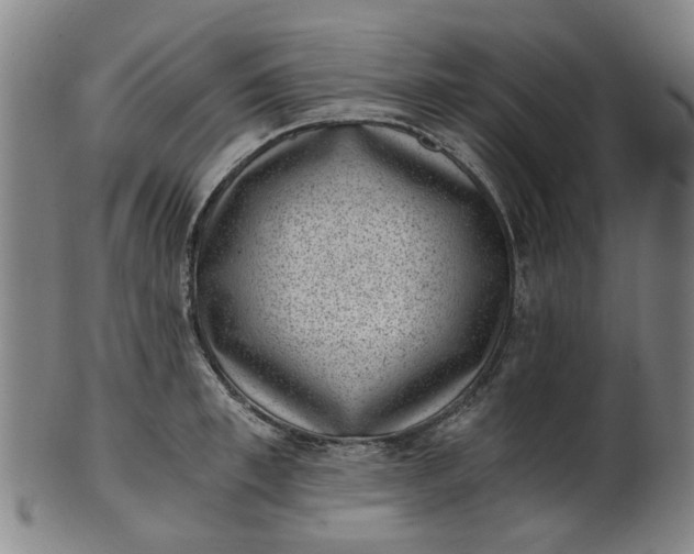 X0000101650997200807241351