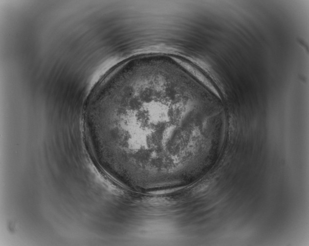 X0000101650998200807241351