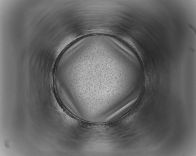 X0000101650999200807241351