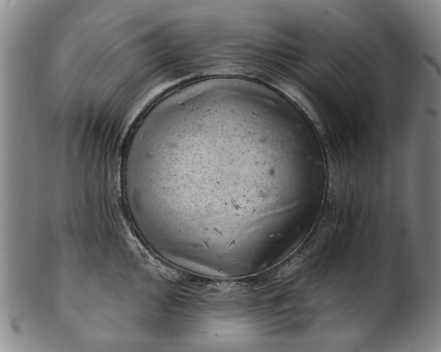 X0000101651000200807241351