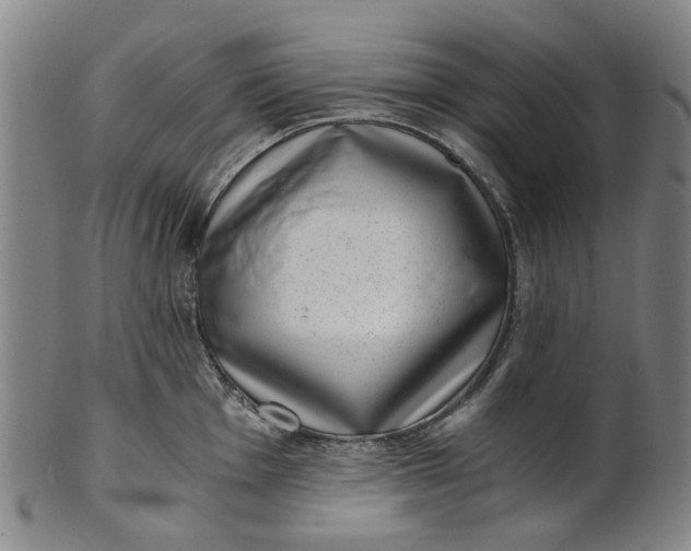 X0000101651001200807241351