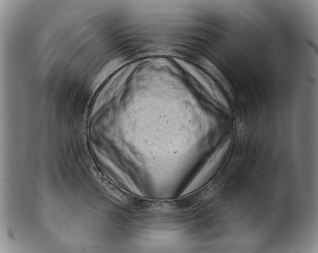 X0000101651002200807241351