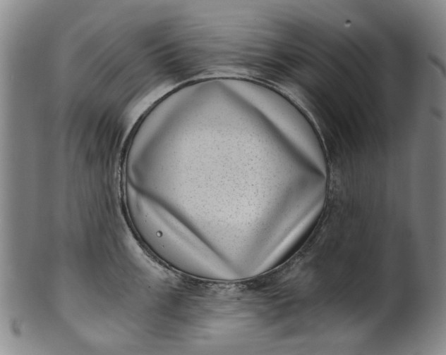 X0000101651003200807241351