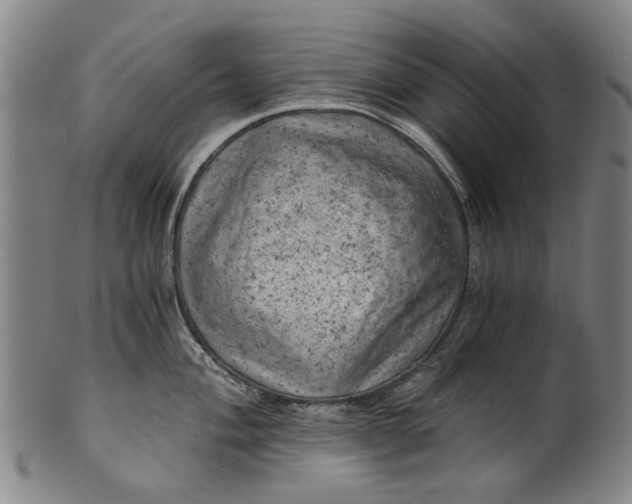 X0000101651004200807241351