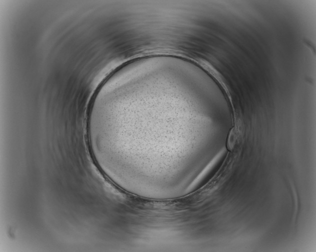 X0000101651005200807241351