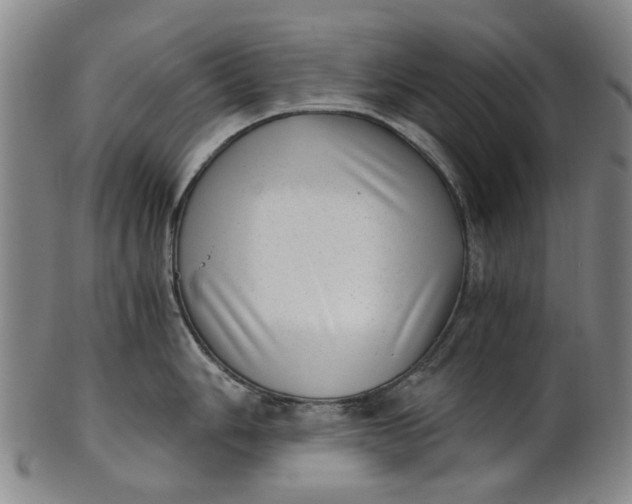 X0000101651006200807241351