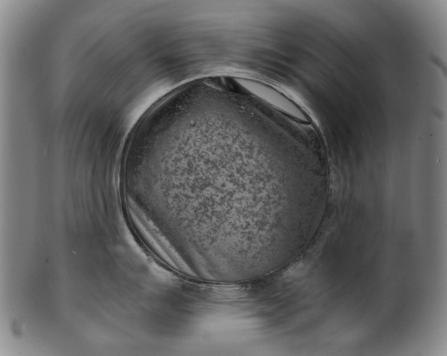 X0000101651007200807241351