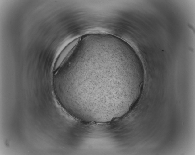 X0000101651008200807241351