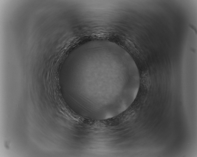 X0000101651009200807241350