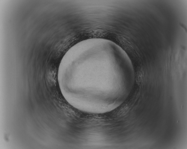 X0000101651010200807241350