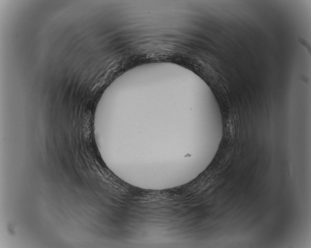 X0000101651012200807241350