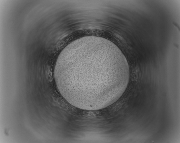 X0000101651013200807241350