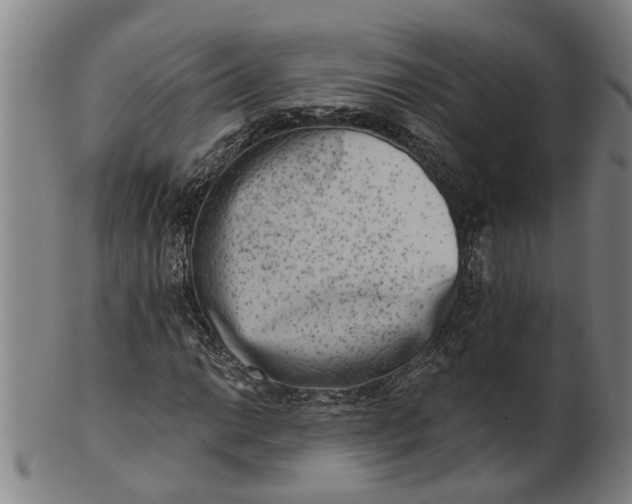 X0000101651014200807241350