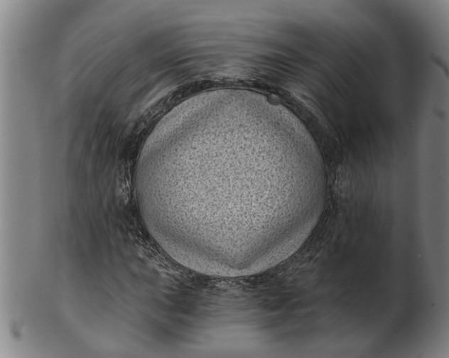 X0000101651015200807241350