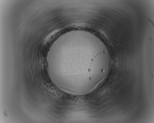 X0000101651016200807241350