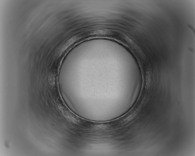 X0000101651017200807241350