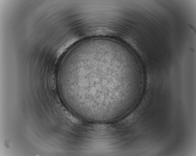 X0000101651018200807241350