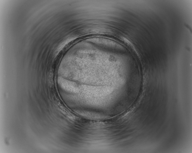 X0000101651019200807241350