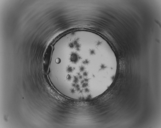 X0000101651020200807241350