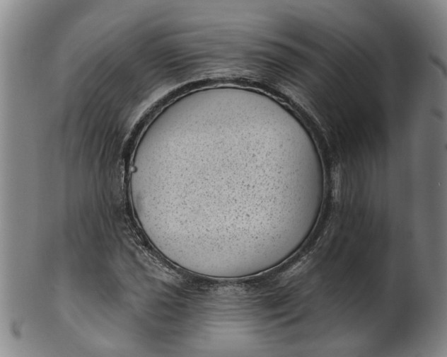 X0000101651021200807241350