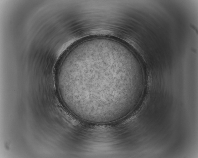 X0000101651022200807241350