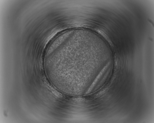 X0000101651023200807241350