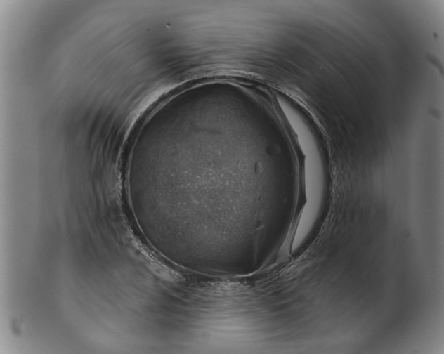 X0000101651024200807241350