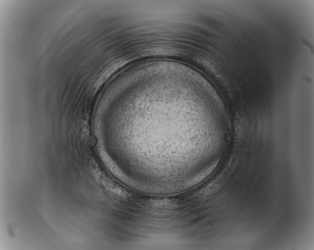 X0000101651025200807241350