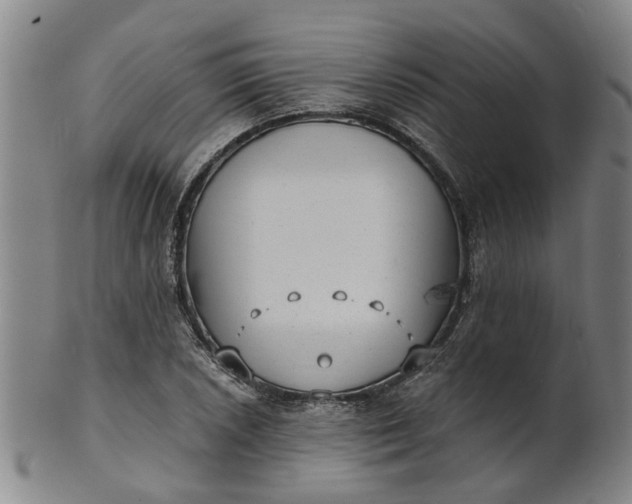 X0000101651026200807241350