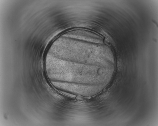 X0000101651028200807241350