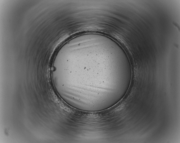 X0000101651029200807241350