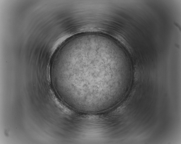 X0000101651030200807241350